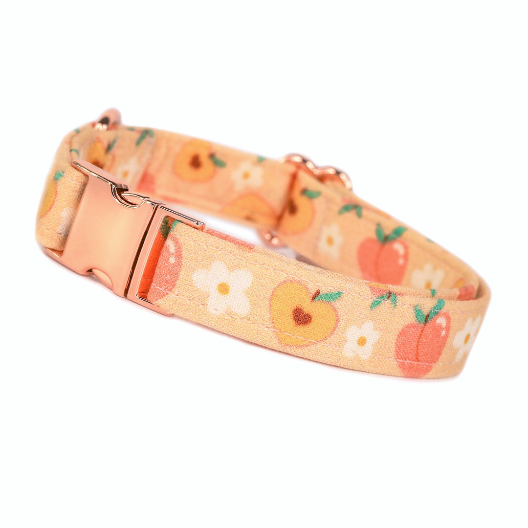 Peachy Keen - Daisy Peach Dog Collar