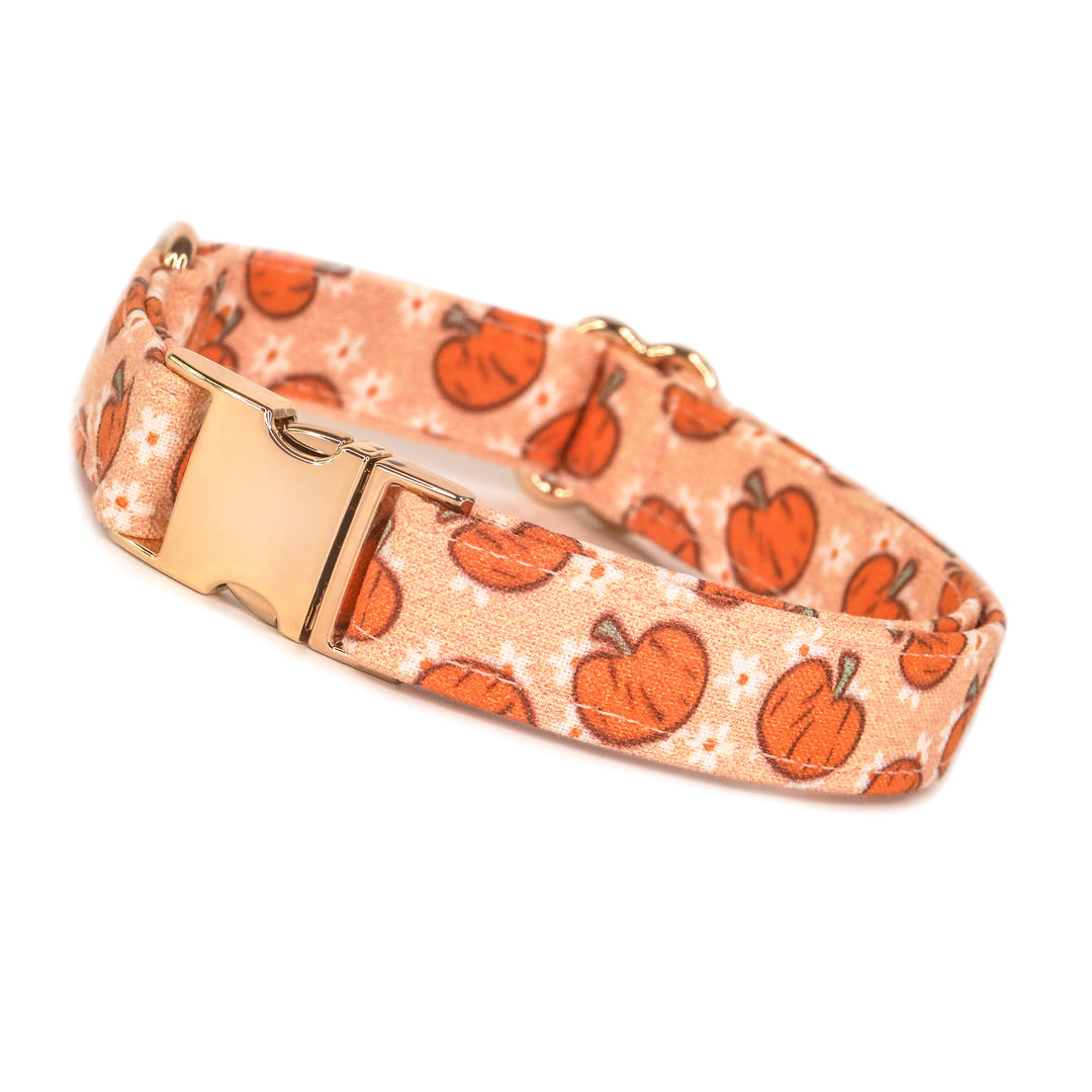 Cutest In The Patch - Light Orange Pumpkin Daisy Fall Dog Collar