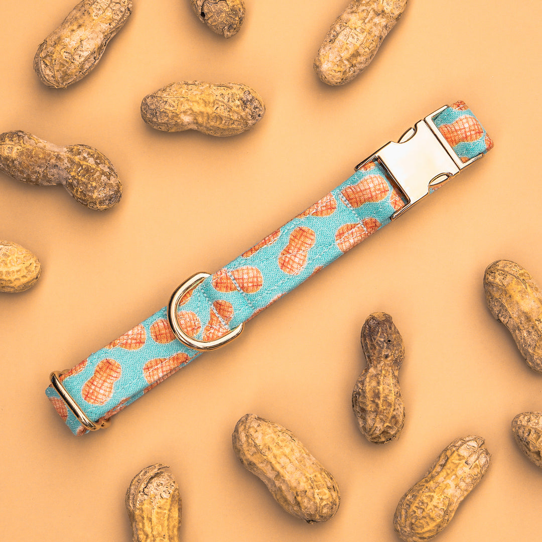 A Little Nutty -  Blue Peanut Dog Collar