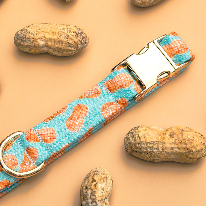 A Little Nutty -  Blue Peanut Dog Collar