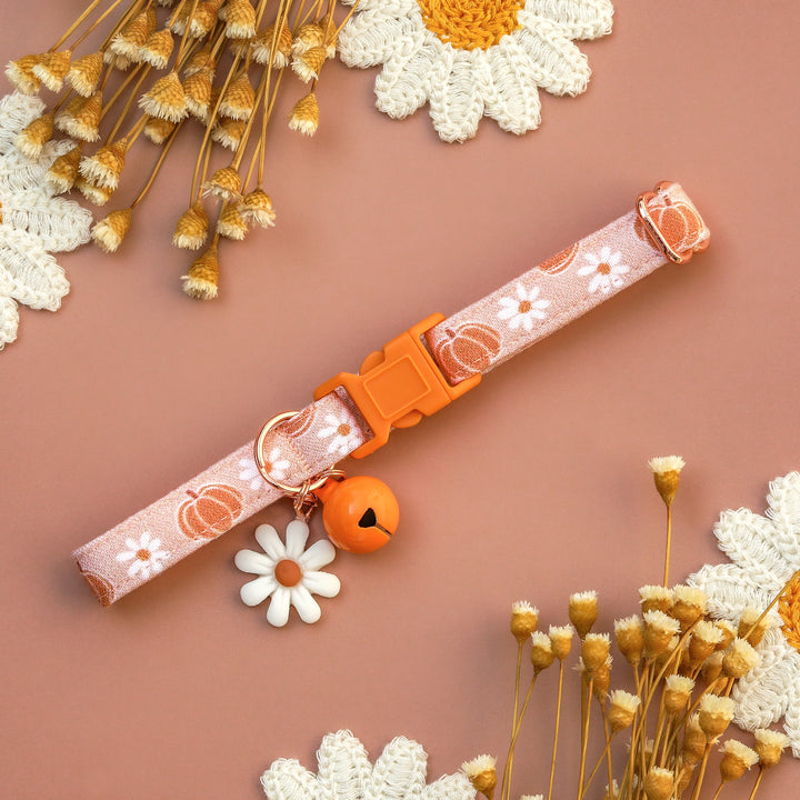 Pick Of The Patch - Neutral Pumpkin Daisy Floral Fall Cat Collar