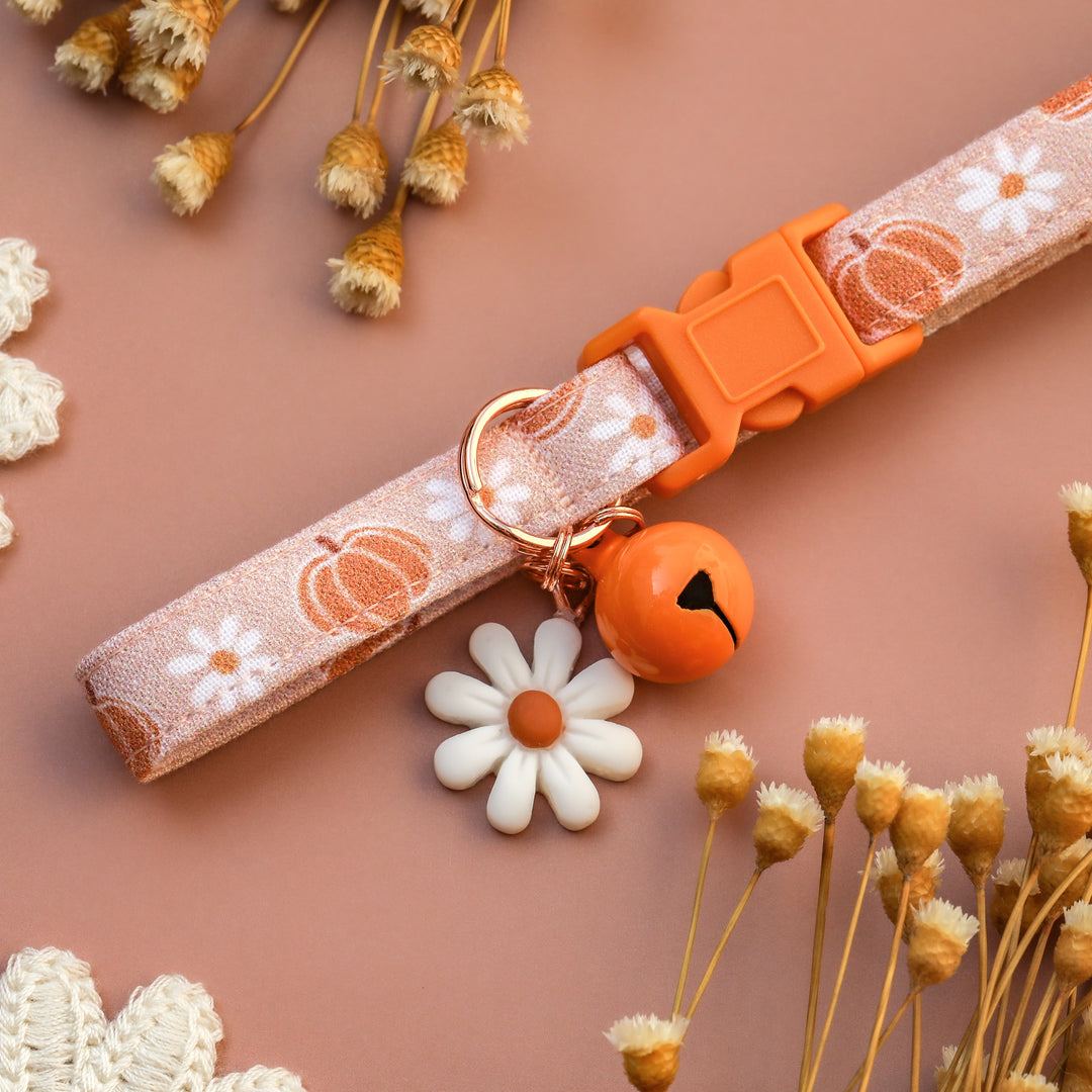 Pick Of The Patch - Neutral Pumpkin Daisy Floral Fall Cat Collar