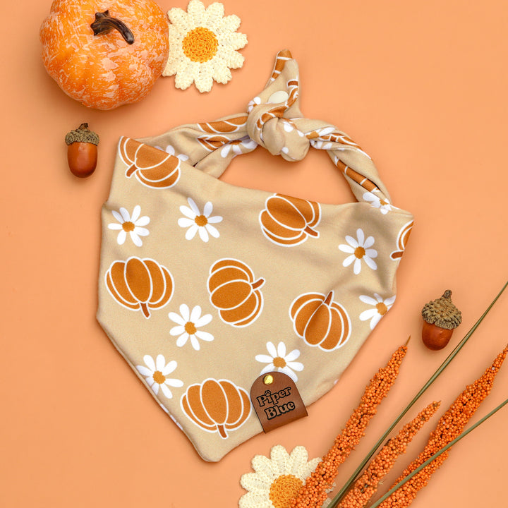 Pick Of The Patch - Neutral Pumpkin Daisy Fall Pet Bandana