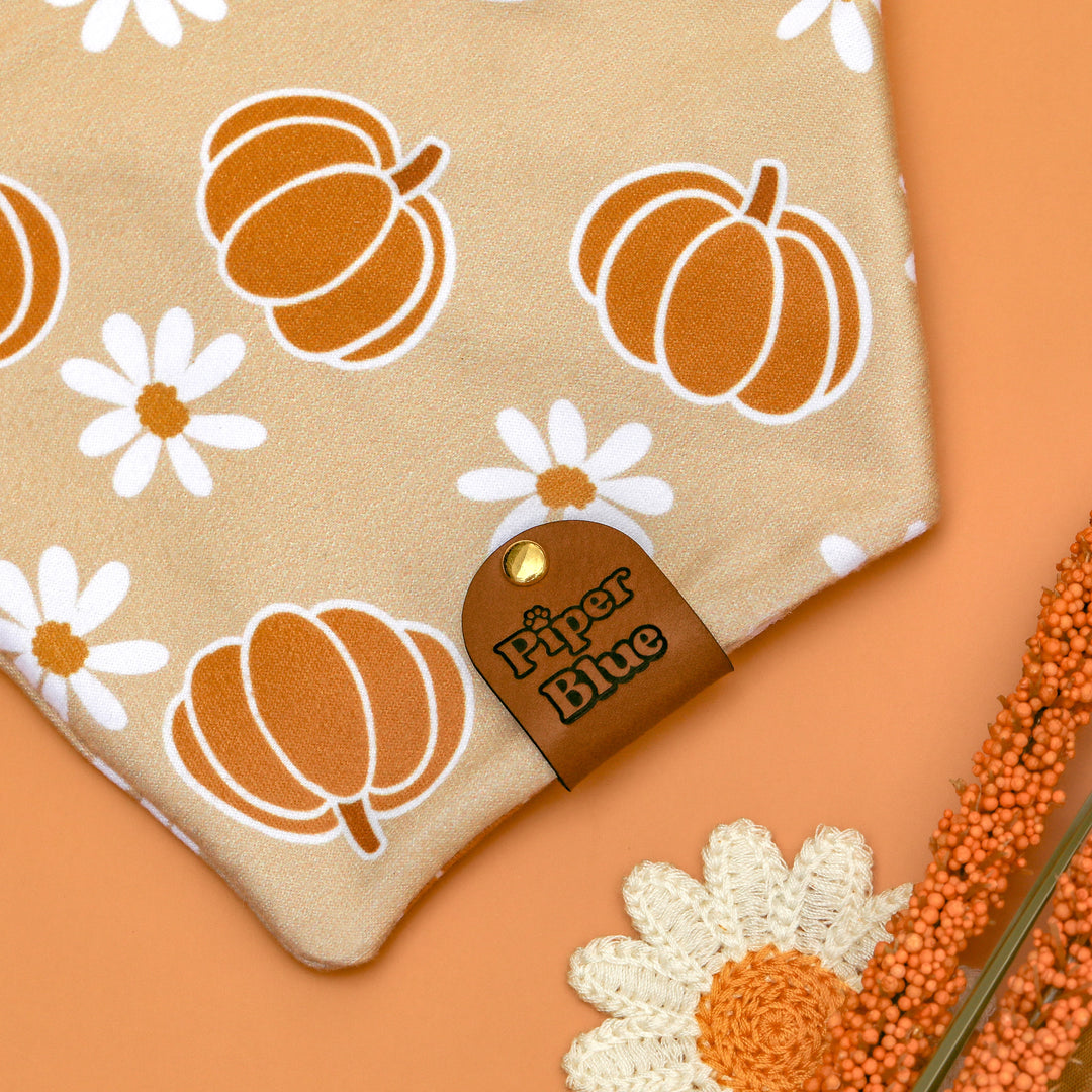 Pick Of The Patch - Neutral Pumpkin Daisy Fall Pet Bandana