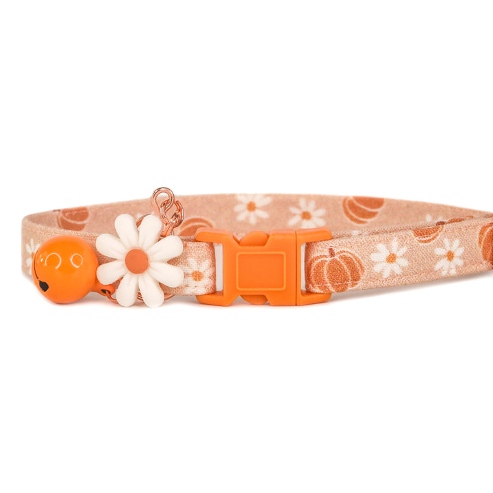 Pick Of The Patch - Neutral Pumpkin Daisy Floral Fall Cat Collar