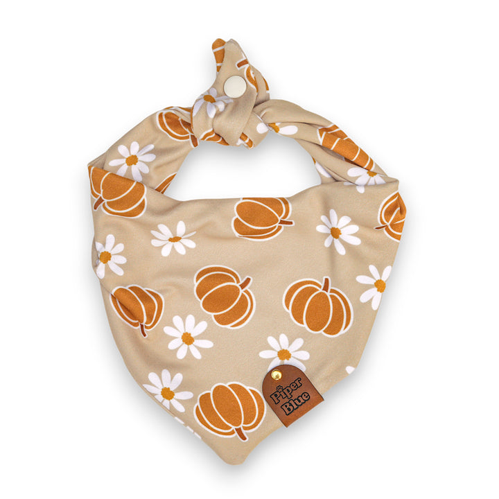 Pick Of The Patch - Neutral Pumpkin Daisy Fall Pet Bandana