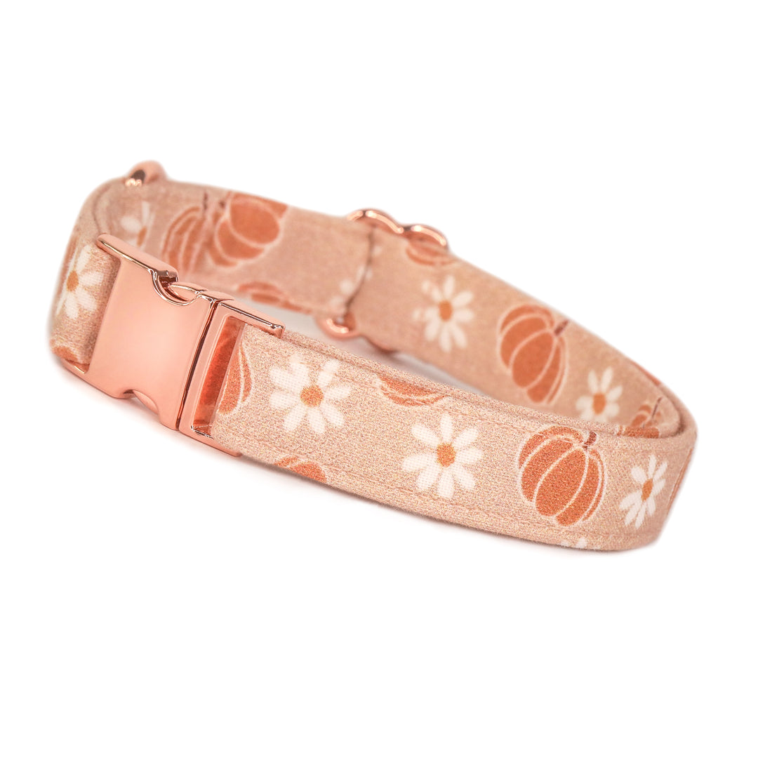 Pick Of The Patch - Neutral Pumpkin Daisy Floral Fall Dog Collar