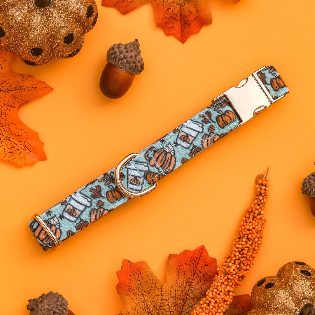 PSL Addict- Blue Fall Pumpkin Spice Latte Dog Collar