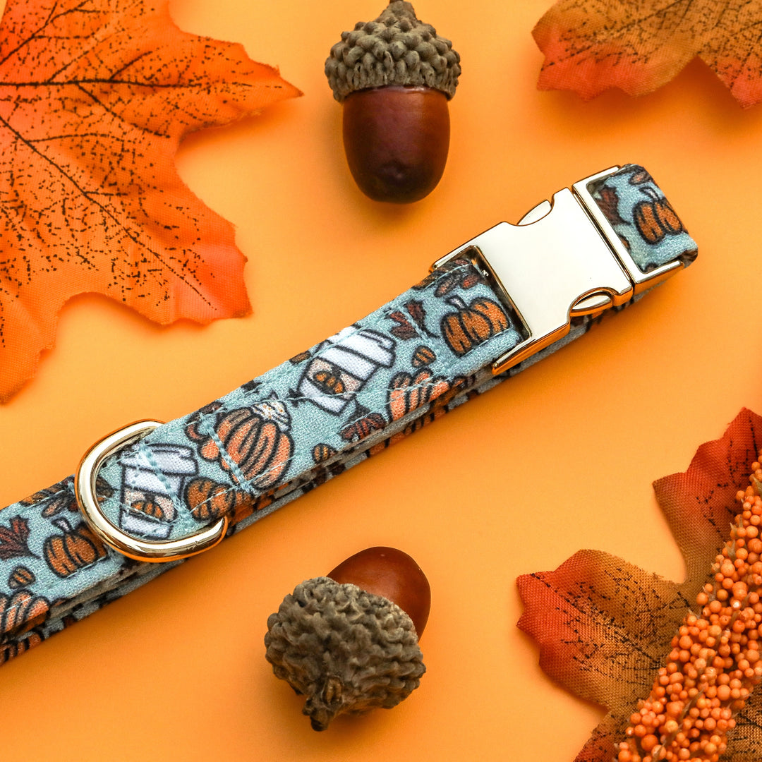 PSL Addict- Blue Fall Pumpkin Spice Latte Dog Collar