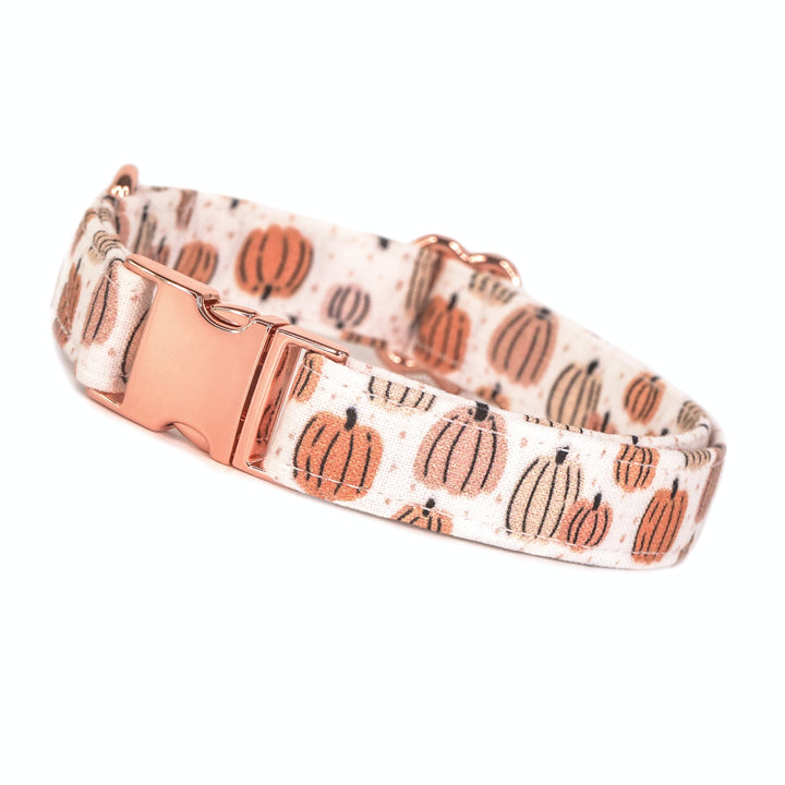 Give 'Em Pumpkin To Talk About - Peachy Neutral Boho Pumpkin Fall Dog Collar