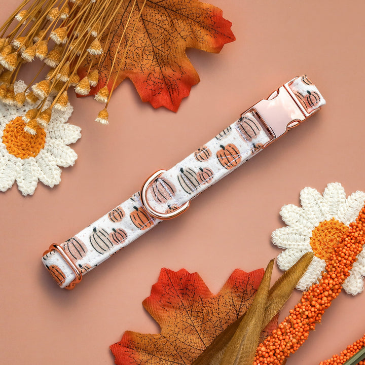 Give 'Em Pumpkin To Talk About - Peachy Neutral Boho Pumpkin Fall Dog Collar