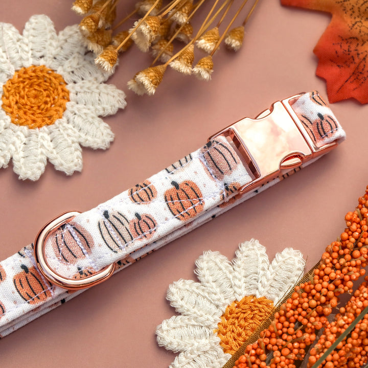 Give 'Em Pumpkin To Talk About - Peachy Neutral Boho Pumpkin Fall Dog Collar