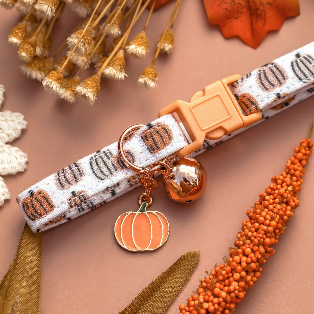 Give 'Em Pumpkin To Talk About - Peachy Neutral Pumpkin Fall Cat Collar