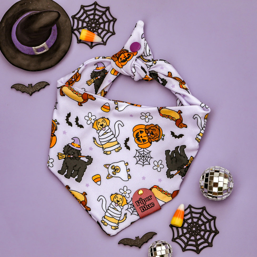 Howlween - Purple Spooky Halloween Dogs Pet Bandana