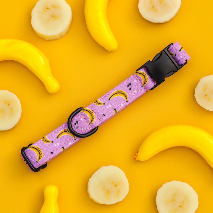 Go Bananas - Purple Banana Dog Collar