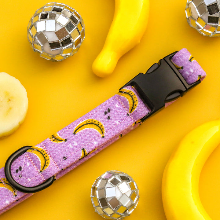 Go Bananas - Purple Banana Dog Collar