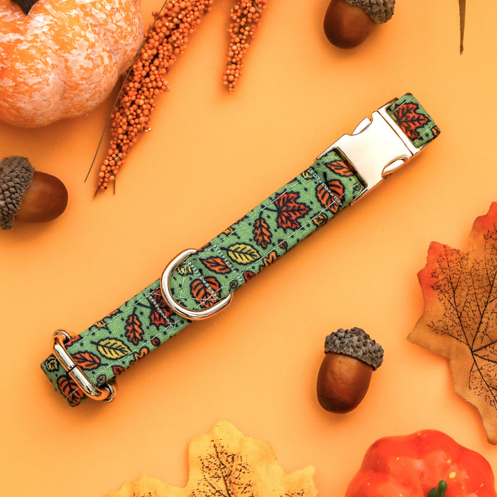 Rake It Up - Green Fall Leaves Dog Collar