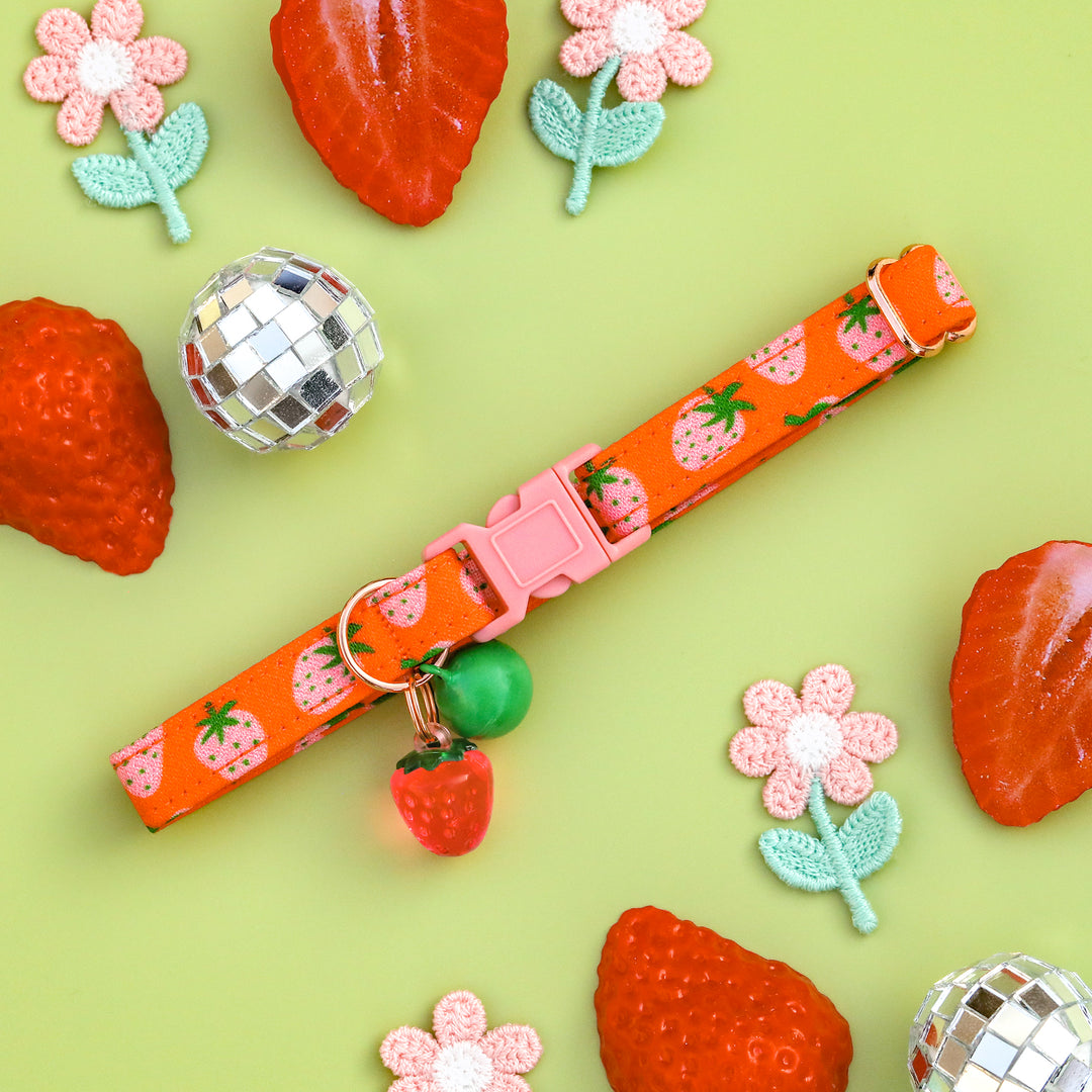 Summertime Sweet - Groovy Strawberry Cat Collar