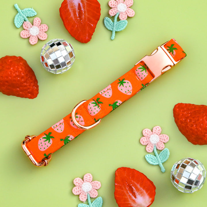 Summertime Sweet - Groovy Strawberry Dog Collar