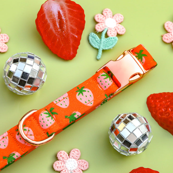 Summertime Sweet - Groovy Strawberry Dog Collar