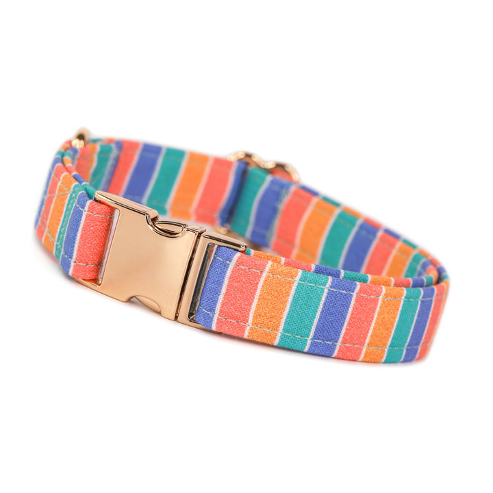 Mixed Vibes - Retro Striped Dog Collar