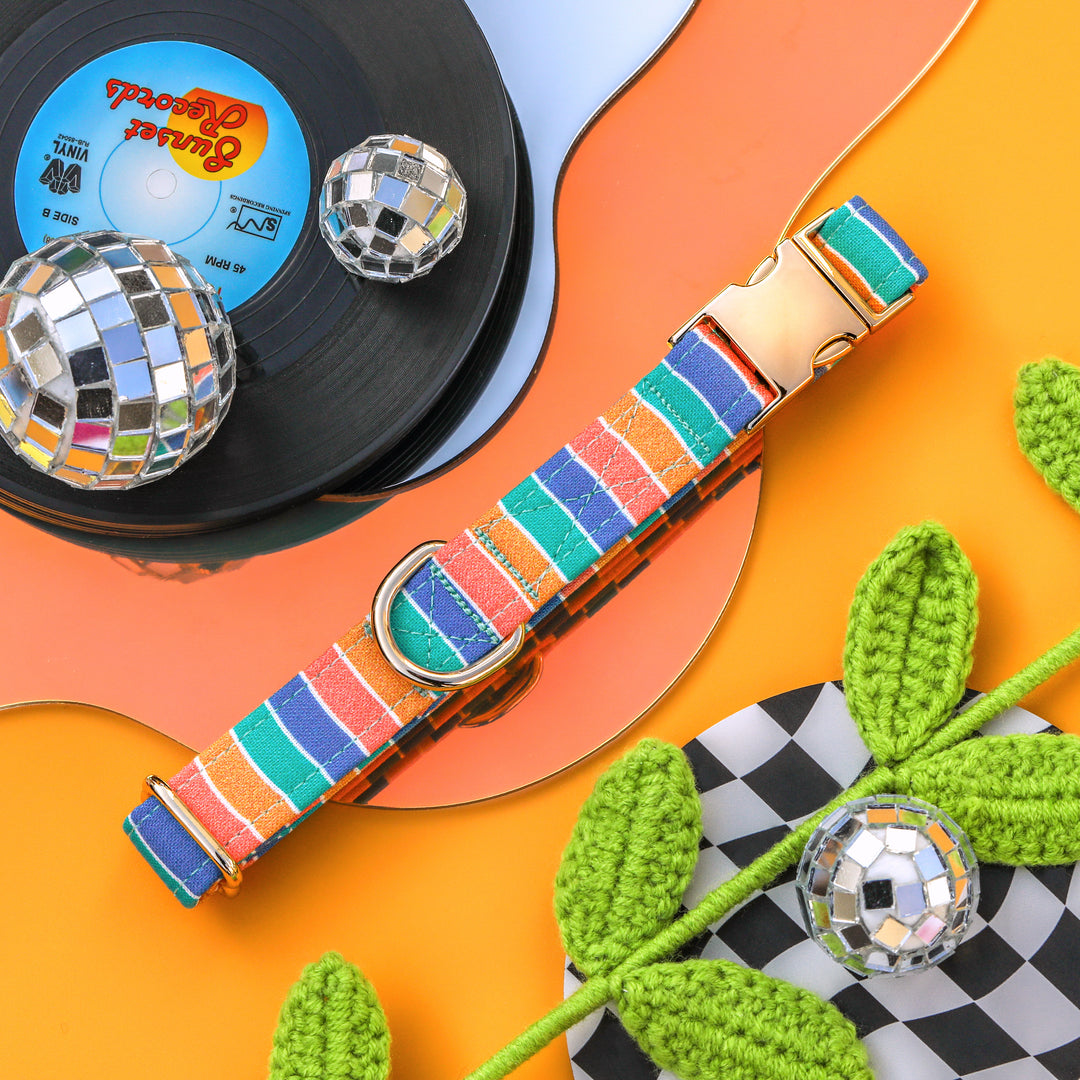 Mixed Vibes - Retro Striped Dog Collar