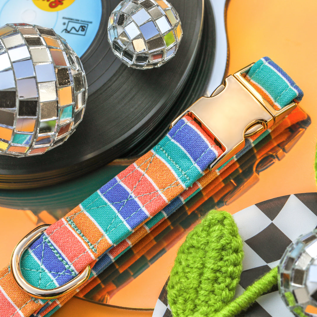 Mixed Vibes - Retro Striped Dog Collar