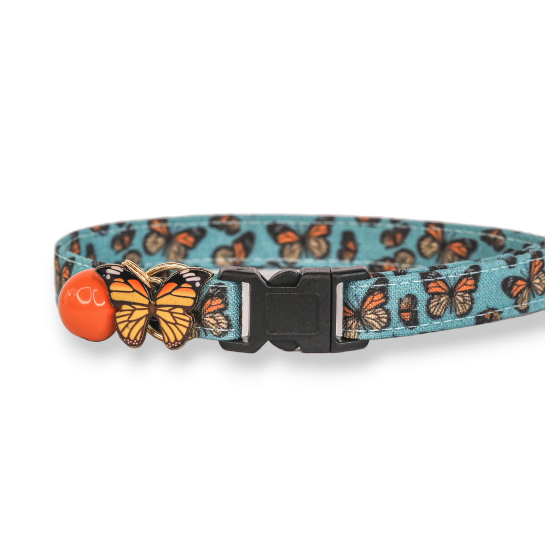 Social Butterfly - Blue Monarch Butterfly Cat Collar