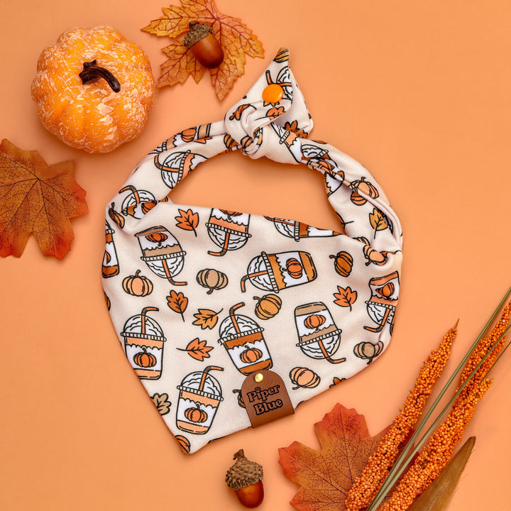 Spice Up Your Life - Pumpkin Spice Latte Fall Pet Bandana