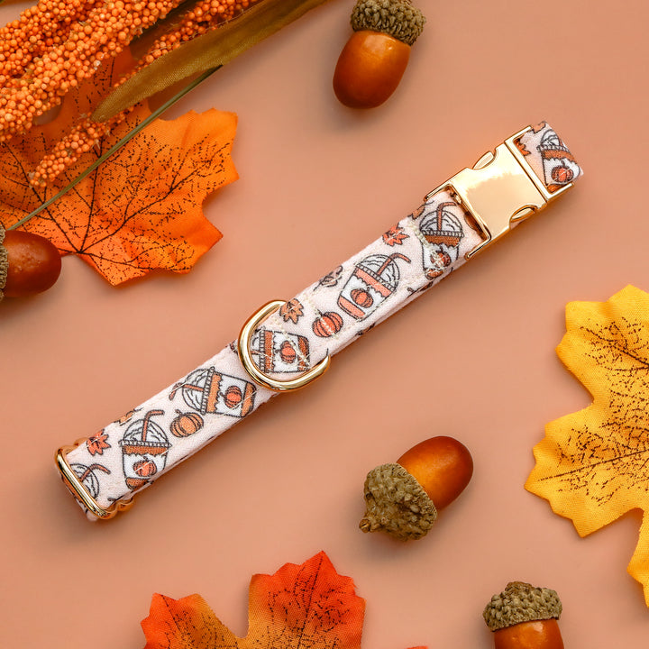 Spice Up Your Life - Pumpkin Spice Latte Fall Dog Collar