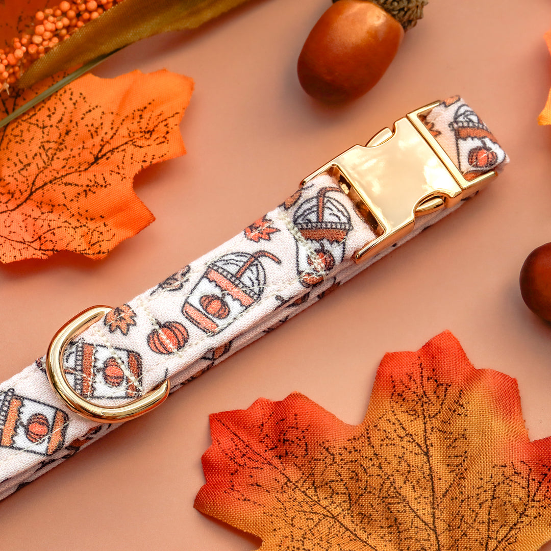 Spice Up Your Life - Pumpkin Spice Latte Fall Dog Collar