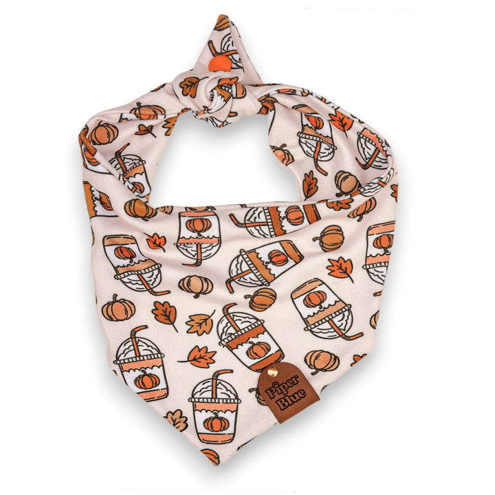 Spice Up Your Life - Pumpkin Spice Latte Fall Pet Bandana