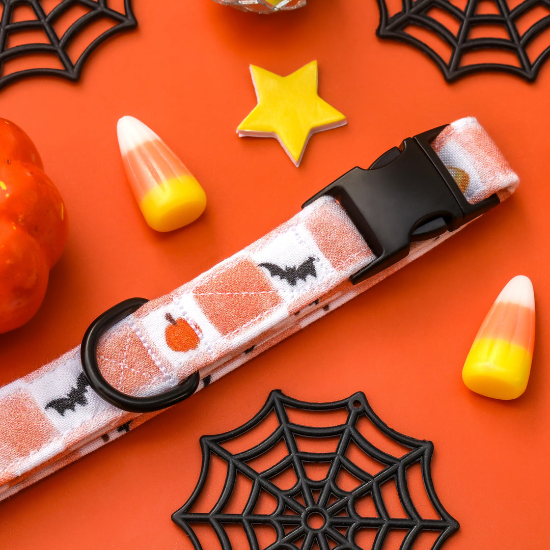 Spooktacular - Orange Checkered Halloween Dog Collar