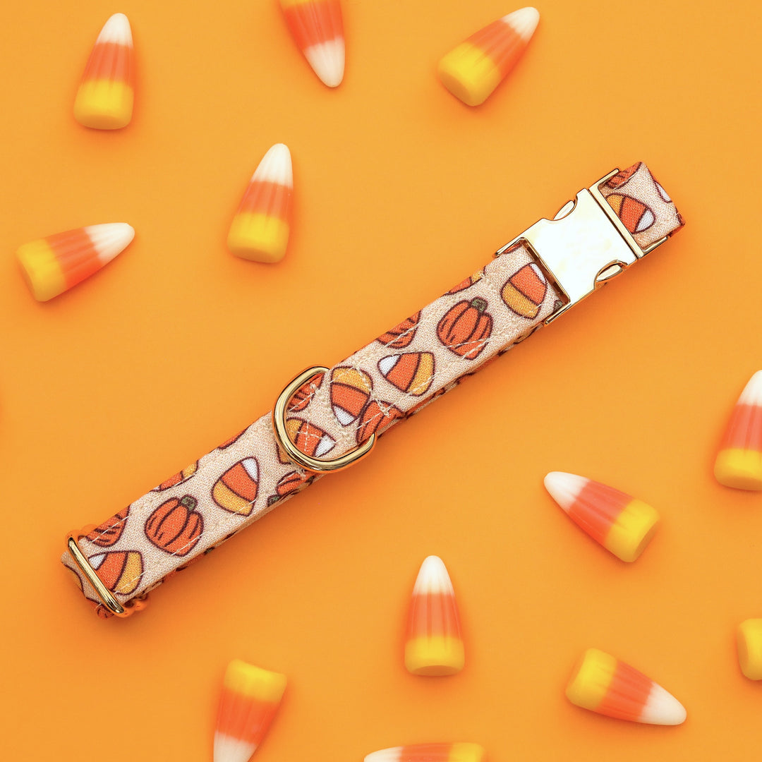 Sweet Tooth - Neutral Orange Candy Corn Halloween Dog Collar