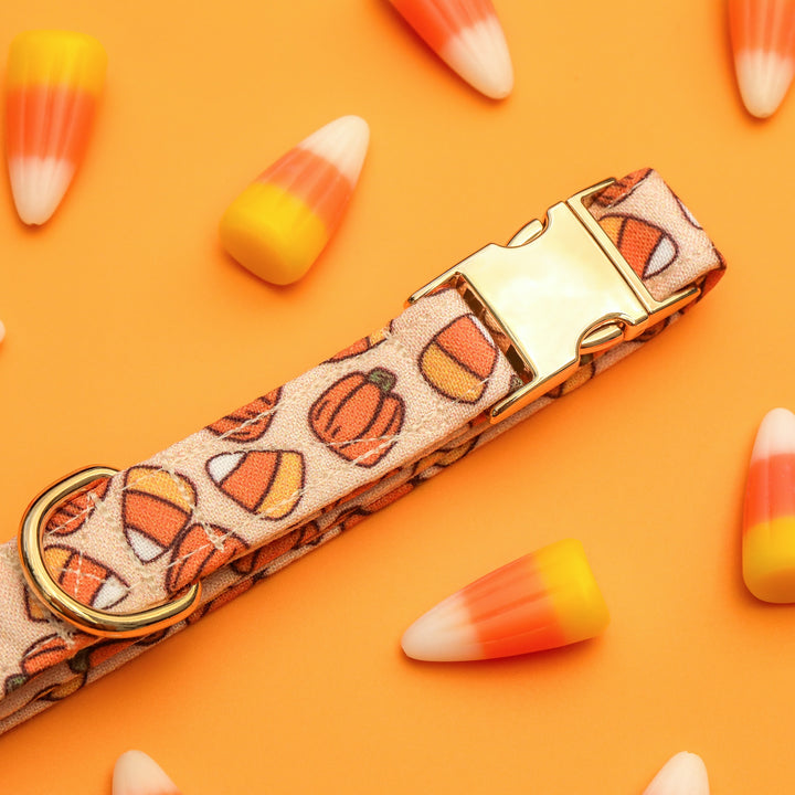 Sweet Tooth - Neutral Orange Candy Corn Halloween Dog Collar