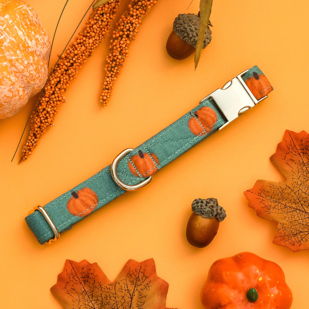 The Great Pumpkin - Forest Green Pumpkin Fall Dog Collar