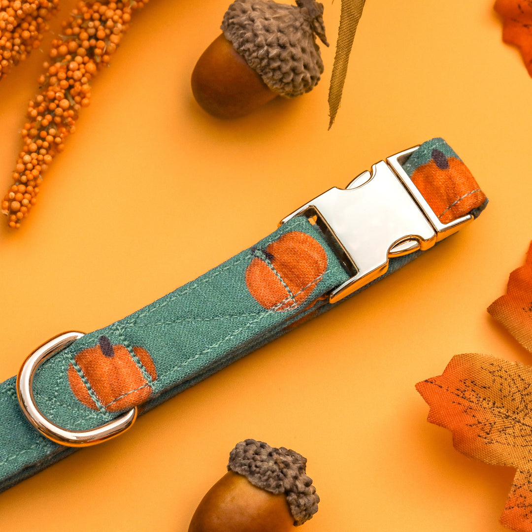 The Great Pumpkin - Forest Green Pumpkin Fall Dog Collar