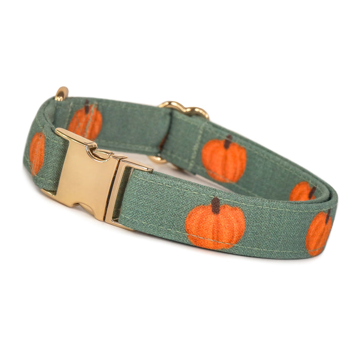 The Great Pumpkin - Forest Green Pumpkin Fall Dog Collar