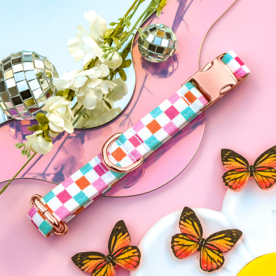 TTYL - Girly Multicolored Checked Dog Collar