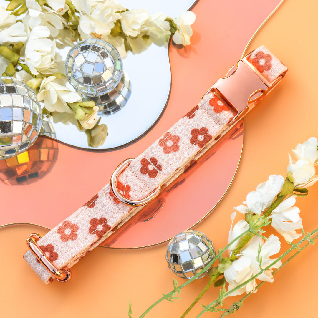 Flower Child - Neutral Retro Floral Dog Collar