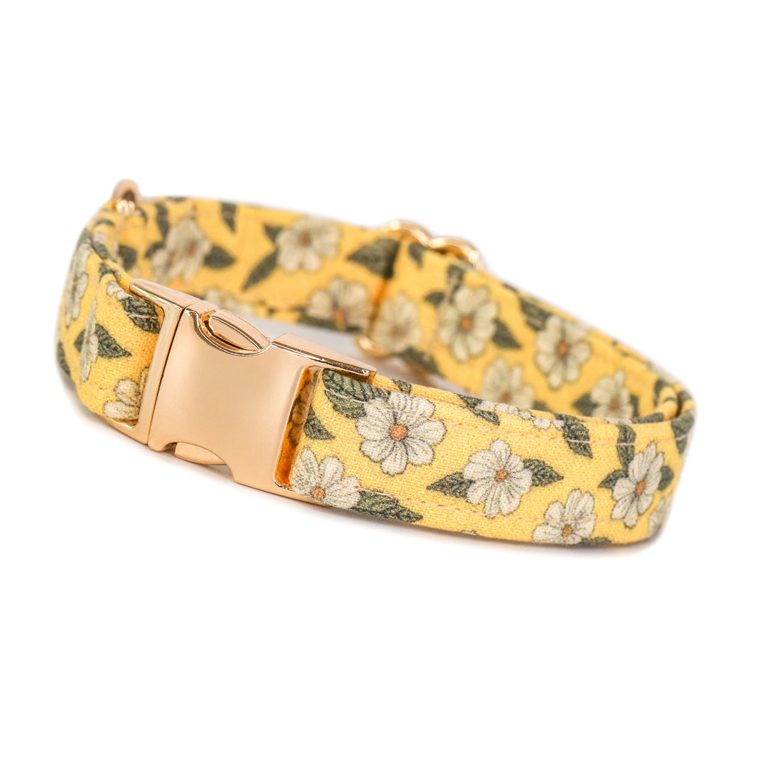 Penelope - Yellow Floral Dog Collar