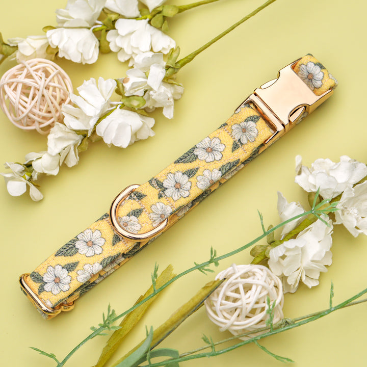 Penelope - Yellow Floral Dog Collar