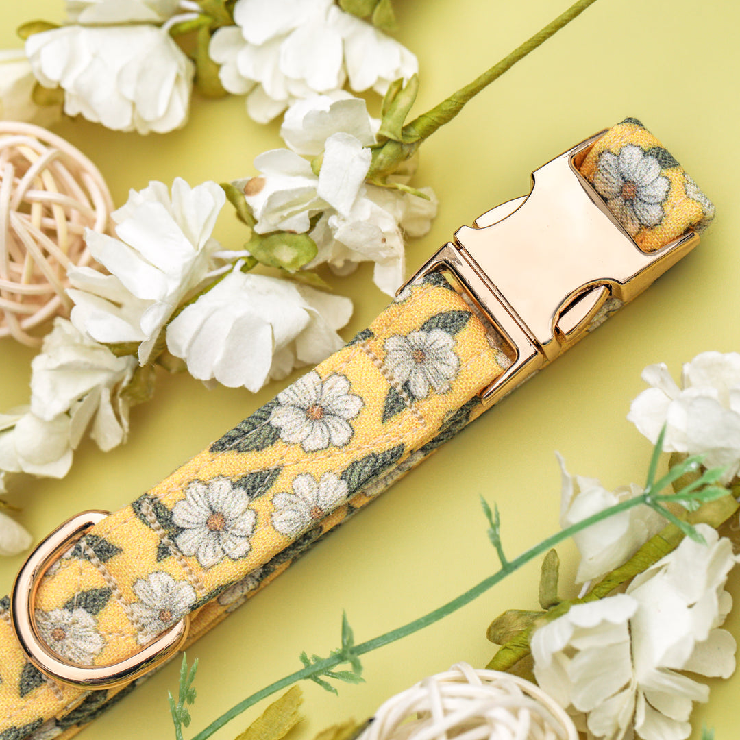 Penelope - Yellow Floral Dog Collar